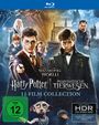 : Wizarding World (Harry Potter & Phantastische Tierwesen) (11-Film Collection) (Blu-ray), BR,BR,BR,BR,BR,BR,BR,BR,BR,BR,BR