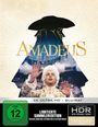 Milos Forman: Amadeus (Ultimate Collector's Edition) (Ultra HD Blu-ray & Blu-ray im Steelbook), UHD,BR