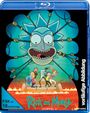 Text: "Rick and Morty Staffel 9", "vorläufige Abbildung", "FSK ab 16 beantragt", "[adult swim]".  
Illustration: Figuren auf Plattform in Lava.