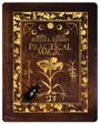 Der Text "Sandra Bullock, Nicole Kidman, Practical Magic" ist in goldener Schrift auf einem braunen Buch mit Blumenranken. Ein schwarzer Käfer sitzt darauf.