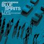John Etheridge: Blue Spirits: Live, CD
