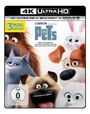 Chris Renaud: Pets (Ultra HD Blu-ray & Blu-ray), UHD,BR