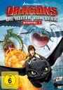 : Dragons Staffel 1: Die Reiter von Berk Vol. 1-4, DVD,DVD,DVD,DVD