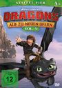 : Dragons - Auf zu neuen Ufern Staffel 4 Vol. 4, DVD
