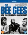 : Bee Gees: How Can You Mend A Broken Heart (2020) (Blu-ray) (UK Import), BR