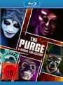 James DeMonaco: The Purge 5-Movie Collection (Blu-ray), BR,BR,BR,BR,BR