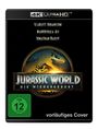 Gareth Edwards: Jurassic World: Die Wiedergeburt (Ultra HD Blu-ray), UHD