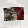Der Text "Howling Bells" ist oben. Gezeigt wird ein Schwarz-Weiß-Cover mit einem Baum, zwei Personen und einer roten Schallplatte.