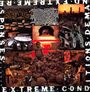 Brutal Truth: Extreme Conditions Demand Extreme Responses, LP