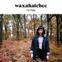 "waxahatchee" und "ivy tripp". Frau in blauer Jacke im herbstlichen Wald, umgeben von bunten Blättern.