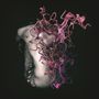 Nuel: Fantasia, LP