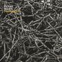 Richard Warren: Disentangled (Limited Edition) (Green Vinyl), LP
