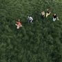 Parcels: Loved, CD