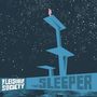 The Leisure Society: The Sleeper, LP,LP