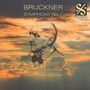 Anton Bruckner: Symphonie Nr.7, CD