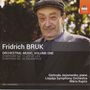 Fridrich Bruk: Orchesterwerke Vol.1, CD