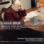 Fridrich Bruk: Orchesterwerke Vol.5, CD