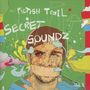 Pictish Trail: Secret Soundz Vol.1 & 2, CD