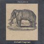 Michael Chapman: Pachyderm, CD