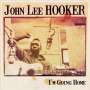 John Lee Hooker: I'm Going Home (180g), LP