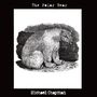 Michael Chapman: The Polar Bear, LP