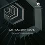 "METAMORPHOSEN", "Camerata Tchaikovsky Soloists", "ORCHID CLASSICS". Abstrakte Treppenstruktur in Grau- und Schwarztönen.