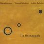 Dave Liebman, Adam Rudolph & Tatsuya Nakatani: The Unknowable, LP,LP