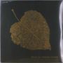 Scrimshire: Music For Autumn Lovers, LP