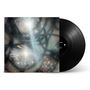 Das Vinyl zeigt ein abstraktes, verschwommenes Cover mit dunklen und hellen Farbtönen.