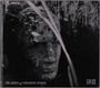 Grice: The Grey Of Granite Stone, CD
