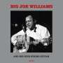 Big Joe Williams (Guitar / Blues): And His Nine String Guitar (180g), LP