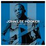 John Lee Hooker: Boom Boom (Grey Vinyl), LP,LP,LP