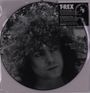 T.Rex (Tyrannosaurus Rex): Truck On (Limited Edition) (Picture Disc), SIN