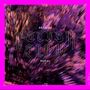 Petter Eldh: Projekt Drums Vol. 2, LP