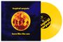 "Inspiral Carpets: burn like the sun" vor gelber Vinylscheibe, Silhouetten vor feurigem Sonnenmotiv.