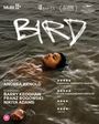 Andrea Arnold: Bird (2024) (Blu-ray) (UK Import), BR