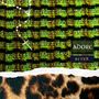 Adore: Biter, LP