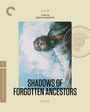 Texte: "A Film by SERGEI PARAJANOV" und "SHADOWS OF FORGOTTEN ANCESTORS". Illustration eines Mannes vor wolkigem Himmel.