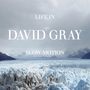 David Gray: Life In Slow Motion (20th Anniversary Edition), LP