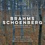 Arnold Schönberg: Verklärte Nacht op.4 für Klaviertrio, CD