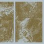 Lay Low X Laslo Umbreit Bear Bones: Tales From The Source (LP), LP