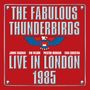 "The Fabulous Thunderbirds, Live in London 1985" mit blauen Adlerillustration auf rotem Hintergrund.
