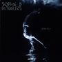 Sophie B. Hawkins: Whaler, CD
