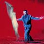 Peter Gabriel: Us, CD