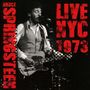 Bruce Springsteen: Live NYC 1973, CD
