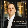 Franz Schubert: Sämtliche Klaviersonaten & Klavierwerke Vol.11 "Variations", CD