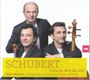 Franz Schubert (1797-1828): Klaviertrios Nr.1 & 2, CD