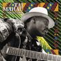 Taj Mahal: World Blues, CD