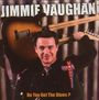 Jimmie Vaughan: Do You Get The Blues?, CD