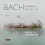 Johann Sebastian Bach: Kantaten BWV 35 & 169, CD